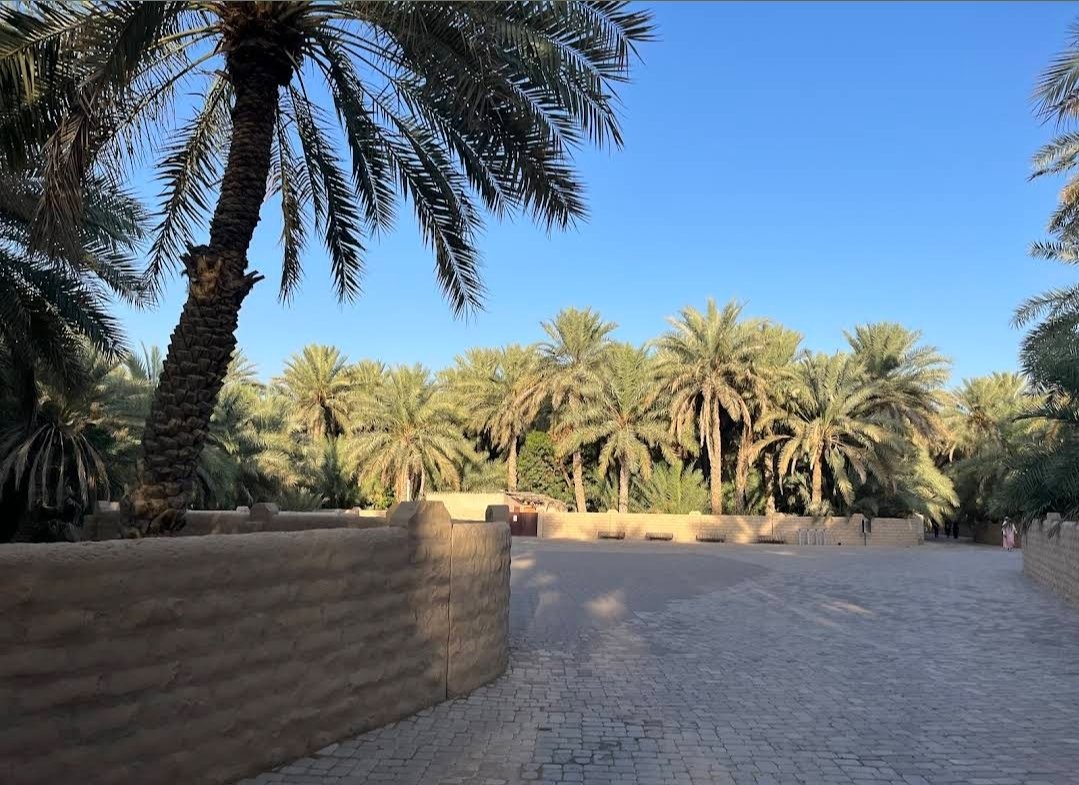 Al Ain Oasis