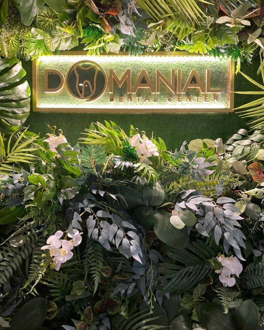 Domanial Dental Clinic