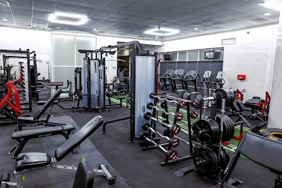 I Train Gym Premium | Ladies Gym in Al-Ain