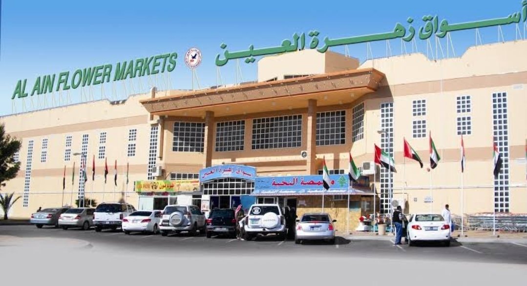 AL AIN FLOWER MARKET LLC – JIMI – MAIN WAREHOUSE