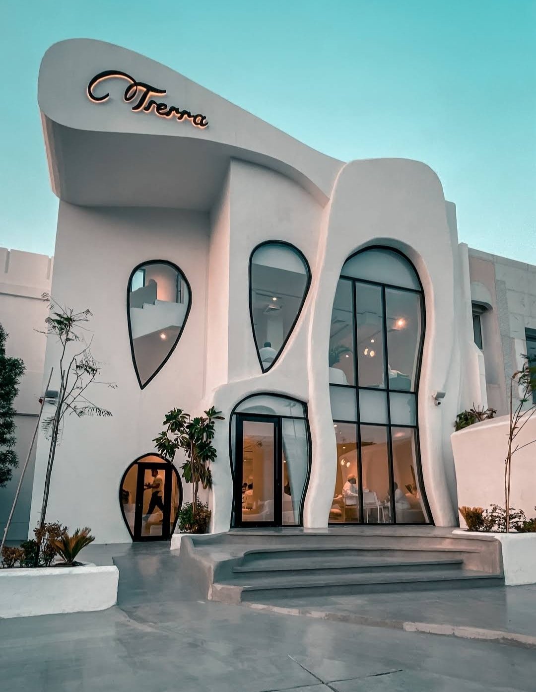Tierra Specialty Cafe