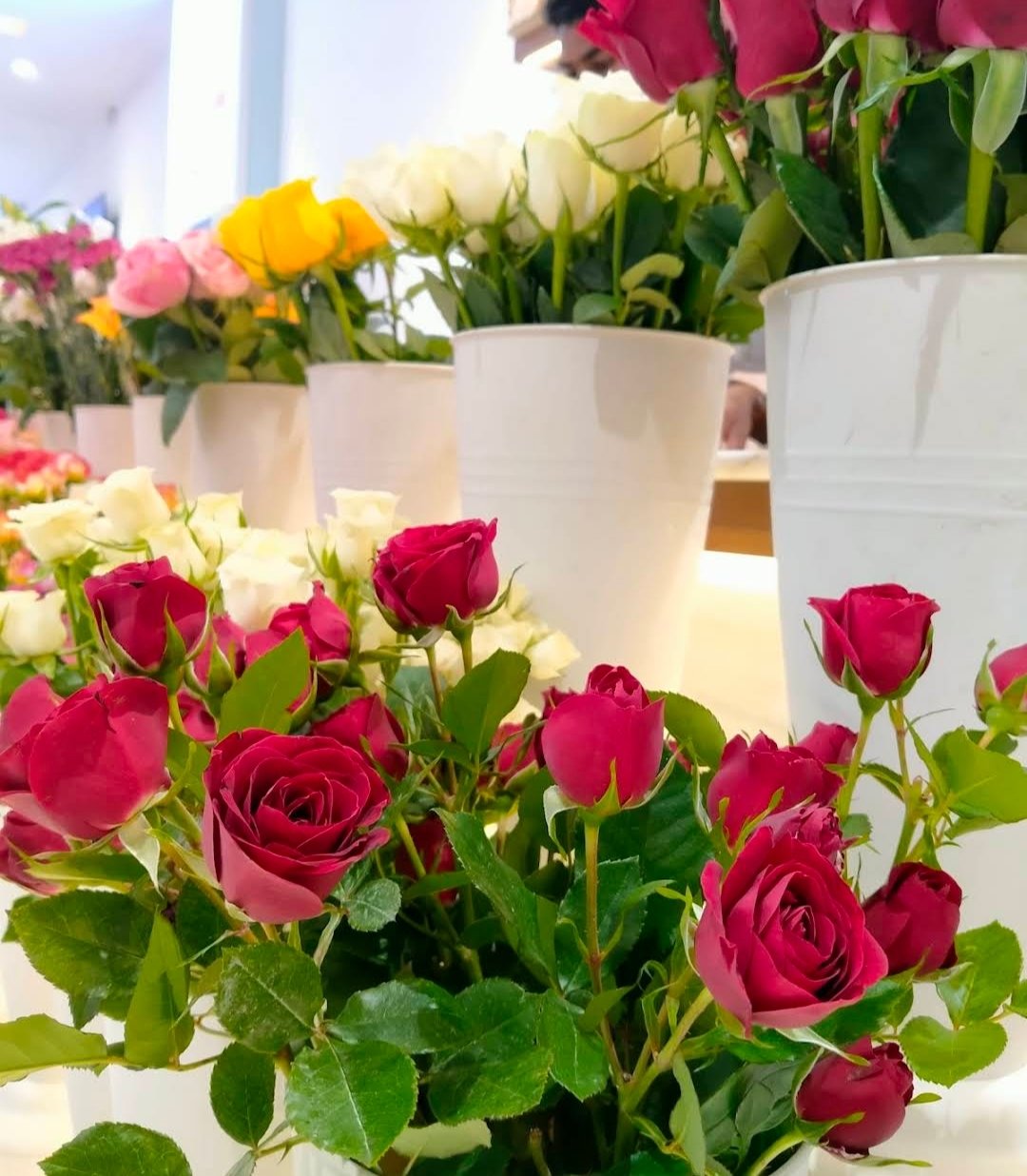 MOGRA Flowers & Chocolates