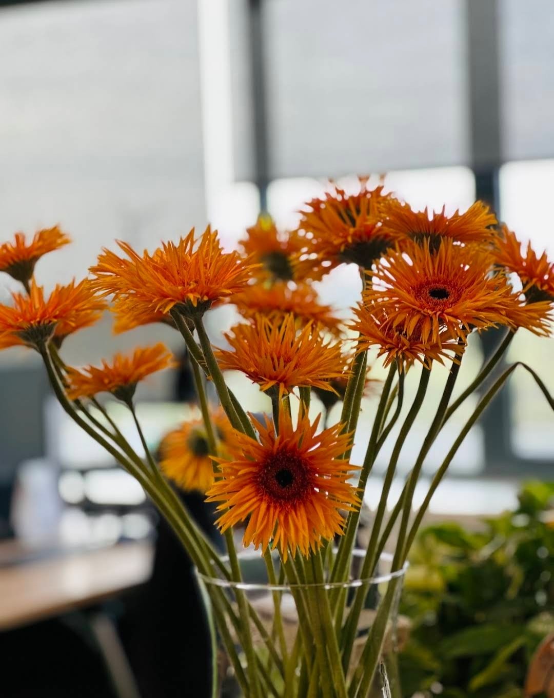 National Flowers
