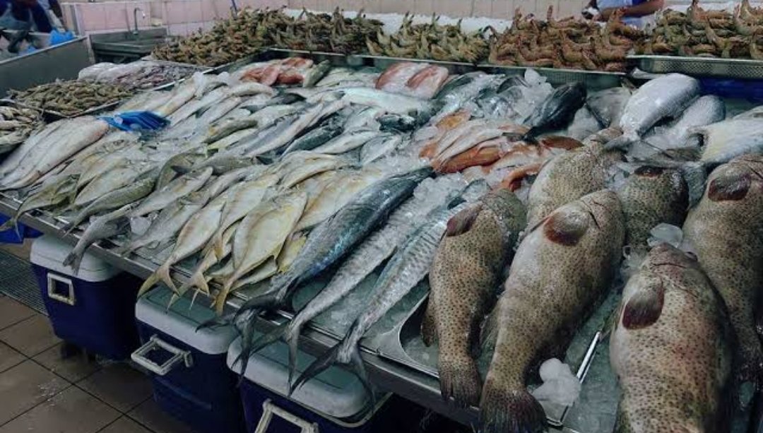 Al Ain Fish Market – Table No. 44