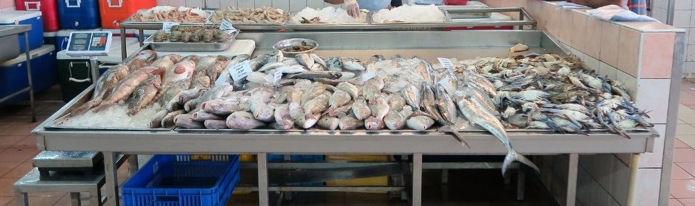 Muhammad Youssef Fish Grill Shop (محل محمد يوسف لشوي الأسماك)