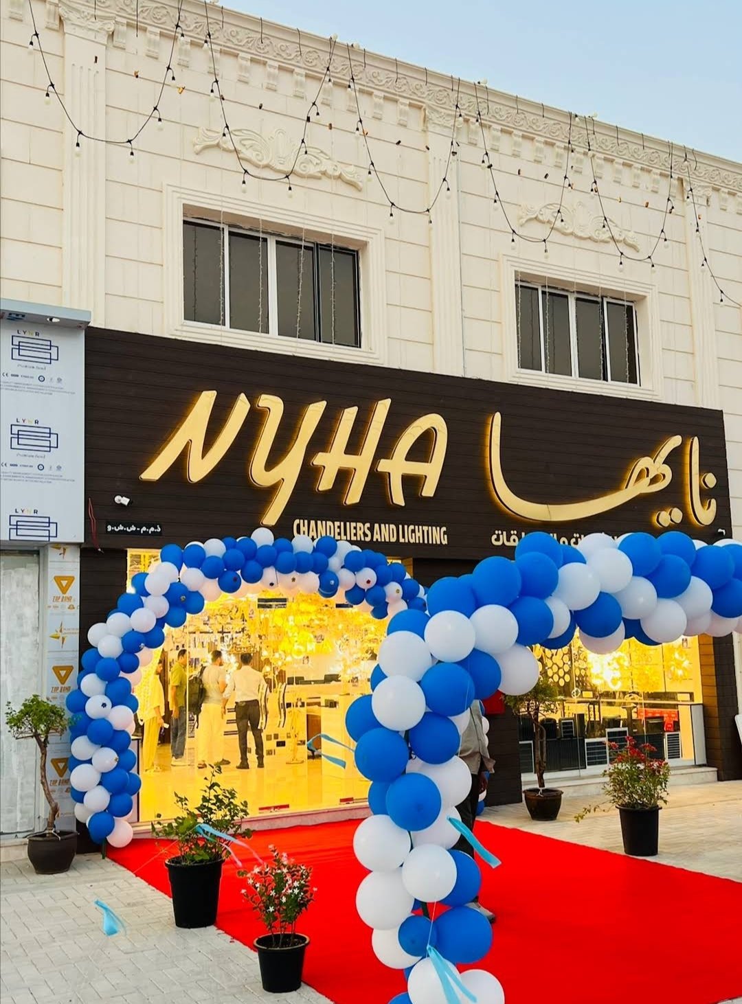 Nyha Chandeliers and Lightings